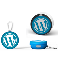 WATER RESISTANT WIRELESS 5W SPEAKER WITH TWS AND CARABINER