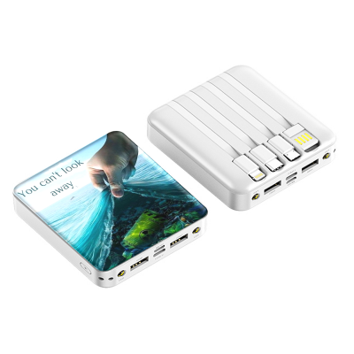 Dual power bank with ALL-IN-1 cables and LED torch, 10000mAh, white colour (PBA10024)